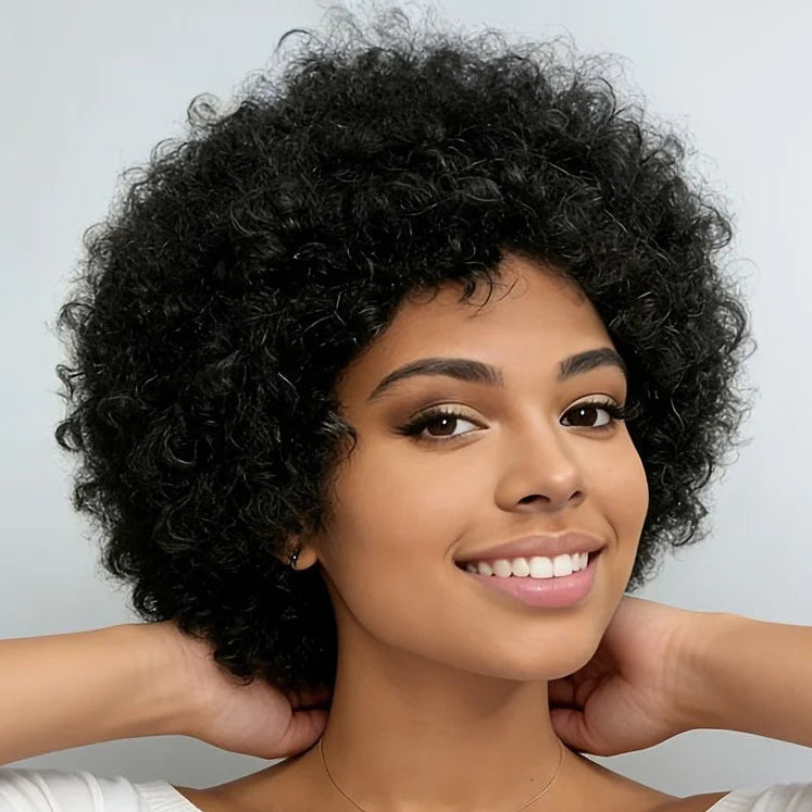 Kinky Curly Afro Wig