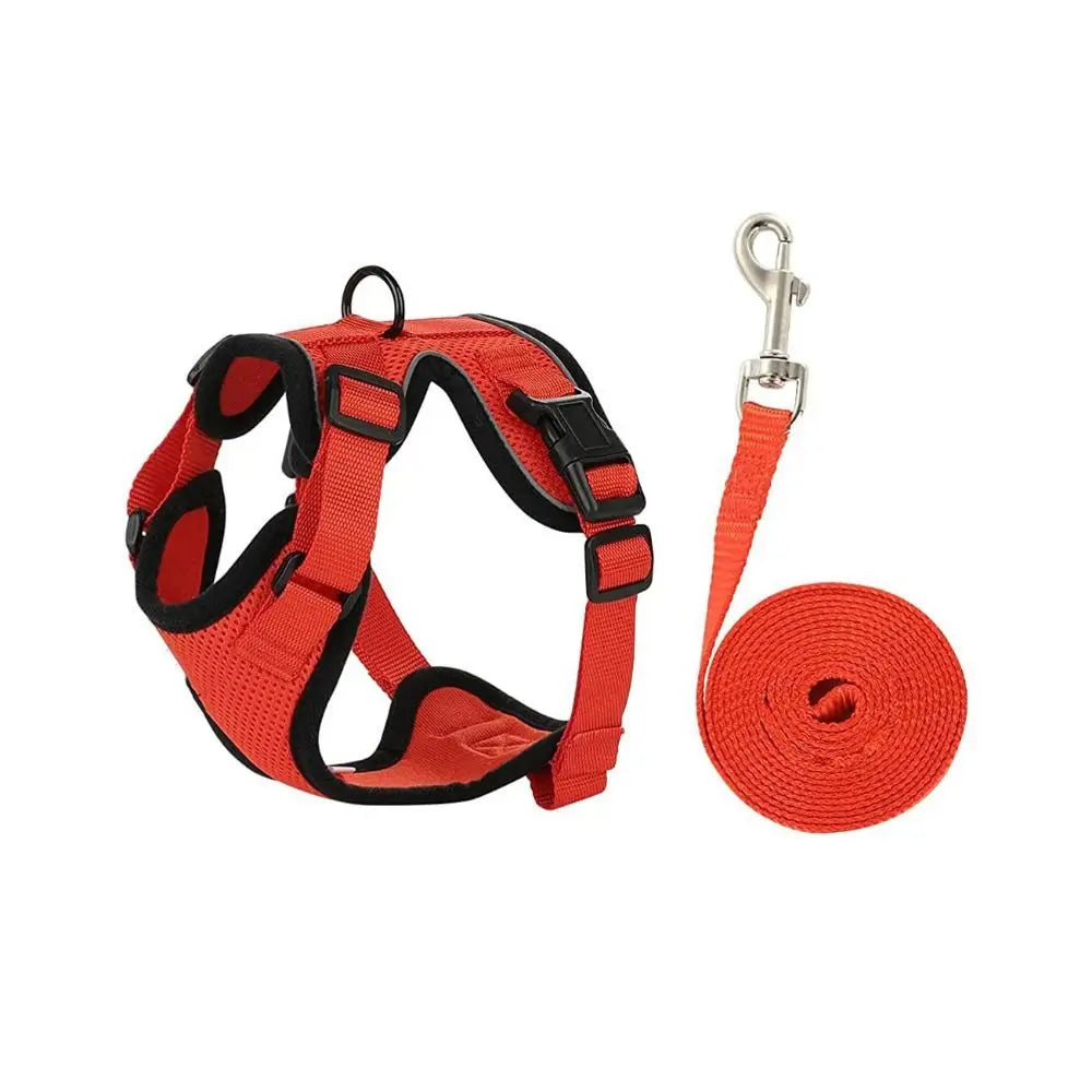 Cat Harness Leash Set - Escape Proof Adjustable Vest, Soft & Secure for Walking, Easy Control Pet Safety Gear