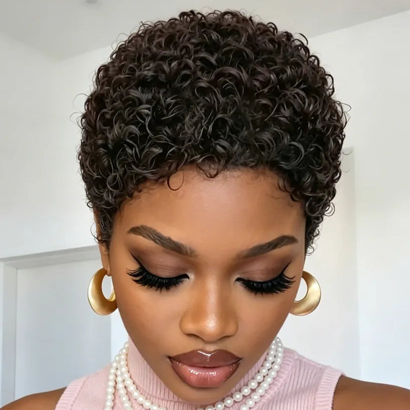 Afro Curly Human Hair Wig